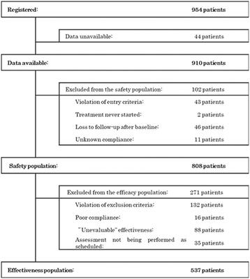 Safety and Effectiveness of Ninjin'yoeito: A Utilization Study in Elderly Patients